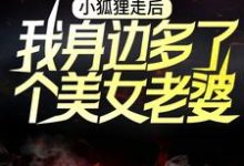 男女主人公卫青狐倾倾小说小狐狸走后,我身边多了个美女老婆章节免费阅读-干果文学