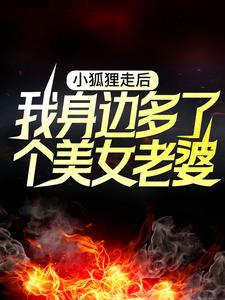 小说《小狐狸走后，我身边多了个美女老婆》章节阅读