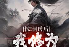 已完结小说《惊!洞房后,我修为突飞猛进》章节在线阅读-干果文学