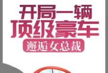 在线寻找开局一辆顶级豪车,邂逅女总裁小说的无删减版本-干果文学
