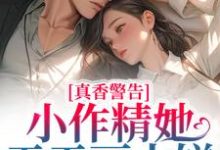 已完结小说《真香警告!小作精她天天画大饼》章节在线阅读-干果文学