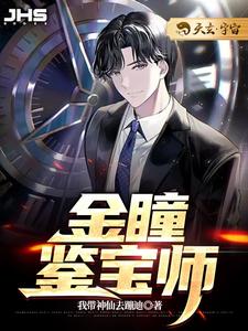 金瞳鉴宝师（沈睿杨丽）在线免费阅读