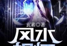 完整版的风水相师小说在哪里可以免费读到?-干果文学