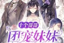 已完结小说《十个哥哥:团宠妹妹又甜又野》章节免费阅读-干果文学