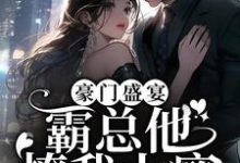 苏停云沈阅川的故事在哪本书里?免费阅读豪门盛宴:霸总他撩我上瘾-干果文学