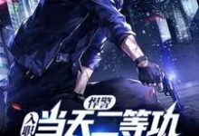 悍警:入职当天二等功,你管这叫实习生?小说的无弹窗阅读体验,寻找免费阅读网站-干果文学