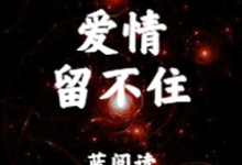 寻找爱情留不住小说的最新更新章节-干果文学