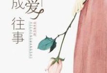 主角叫晏南衡苏若宋之遥小说当爱已成往事章节免费阅读-干果文学