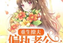主人公岑挽陆北恂小说重生撩夫:偏执老公心肝狂颤在线章节阅读-干果文学