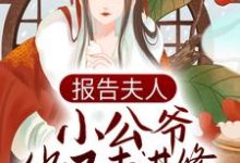 报告夫人,小公爷他又去进修男德了这本小说在哪里可以看?哪里有免费试读章节?-干果文学