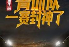 主角韩宁格策小说重生08:青训队一赛封神了免费阅读-干果文学