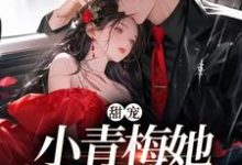 甜宠:小青梅她又生气了(祁蕴顾聿)在线免费阅读-干果文学