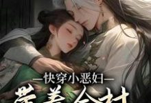 求快穿小恶妇,带着全村一起奔小康小说的全文免费阅读链接-干果文学