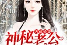 小说《天价娇妻:神秘老公,爱不停》章节免费阅读-干果文学