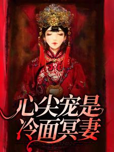 心尖宠是冷面冥妻这本小说怎么样？免费在线阅读试试