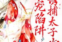 小说《甜宠陷阱:诱捕太子攻略》章节免费阅读-干果文学