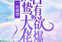 一纸婚情:阴鸷大佬占有欲爆表小说,一纸婚情:阴鸷大佬占有欲爆表在线阅读-干果文学