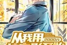 《从我用2000元拍电影开始》全集免费在线阅读(萧剑辰刘衣菲)-干果文学