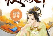 寻找丑妃权倾天下小说的最新更新章节-干果文学