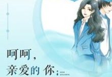 呵呵,亲爱的你温亦佳沈涵,呵呵,亲爱的你最新章节-干果文学