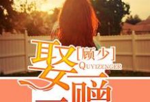顾少,娶一赠二小说最新章节在哪里可以读到?-干果文学