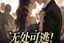 孟景瞳荣暖暖是哪本书的主角?无处可逃!他的强制爱免费读-干果文学