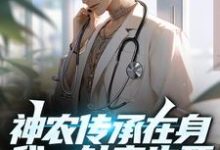 已完结小说《神农传承在身,我一针定生死!》在线章节阅读-干果文学