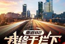 免费看重返82:我终于拦下自杀的妻儿小说的网站有哪些?-干果文学