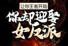 让你王者开局,你却迎娶女反派?小说,让你王者开局,你却迎娶女反派?免费阅读-干果文学