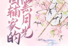 《首辅家的黑月光》全集免费在线阅读(傅挽傅迟)-干果文学