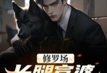 修罗场:长腿富婆为我折了腰小说免费资源,修罗场:长腿富婆为我折了腰在线阅读-干果文学
