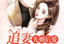 在线寻找先婚后爱:追妻全程候命小说的无删减版本-干果文学