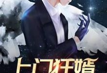 小说《上门狂婿》在线章节阅读-干果文学