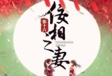 苏映雪沈沛雪苏秋露铃音是哪本书的主角?寻找佞相之妻免费阅读-干果文学