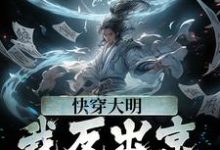 快穿大明:我反出京师对抗皇帝主角苏白朱元璋小说完结版章节在线阅读-干果文学