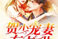 祈如影贺祟行为主角的小说好看吗?免费读贺少宠妻有点甜-干果文学