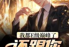 我都E级巅峰了,还跟你讲道理?张铭小说在线章节免费阅读-干果文学