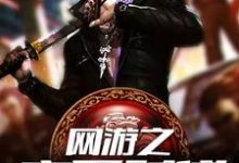 完结版《网游之高手时代》章节阅读-干果文学