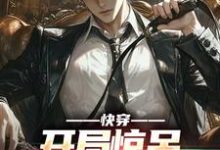 完结版《快穿:开局惊呆创作大赛观众》在线免费阅读-干果文学