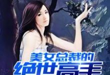 《美女总裁的绝世高手》小说章节列表免费试读,叶轩苏晴小说在线阅读-干果文学