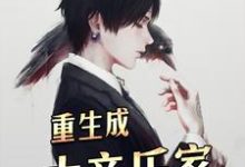 重生成大音乐家小说的无弹窗阅读体验,寻找免费阅读网站-干果文学