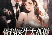 萧博深沈茗懿的故事在哪本书里?免费阅读骨科医生太孤傲,惹娇妻心动涟涟-干果文学