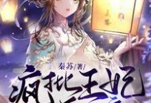 叶瑾安君南陌的完整故事在哪里?读疯批王妃要和离偏执王爷傻眼倒追小说-干果文学