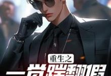 《重生之一觉踹翻假少爷的挑衅》小说章节在线试读,《重生之一觉踹翻假少爷的挑衅》最新章节目录-干果文学