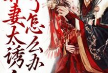 带球跑:弃妻太诱人了怎么办这本小说完结了吗?免费查看最新章节-干果文学