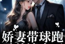 娇妻带球跑,霸总请走开(姜南韵厉司宴)在线免费阅读-干果文学