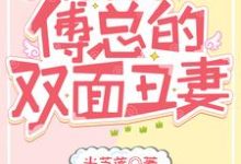 求三宝联盟:傅总的双面丑妻小说免费资源-干果文学