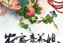 农家童养媳小说的无弹窗阅读体验,寻找免费阅读网站-干果文学