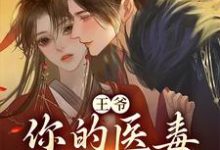 凌枫蝶萧南炎小说《王爷,你的医毒王妃嫁到》在线阅读-干果文学