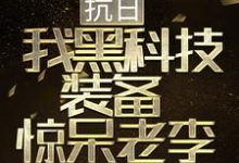 抗日:我黑科技装备惊呆老李小说,抗日:我黑科技装备惊呆老李免费阅读-干果文学